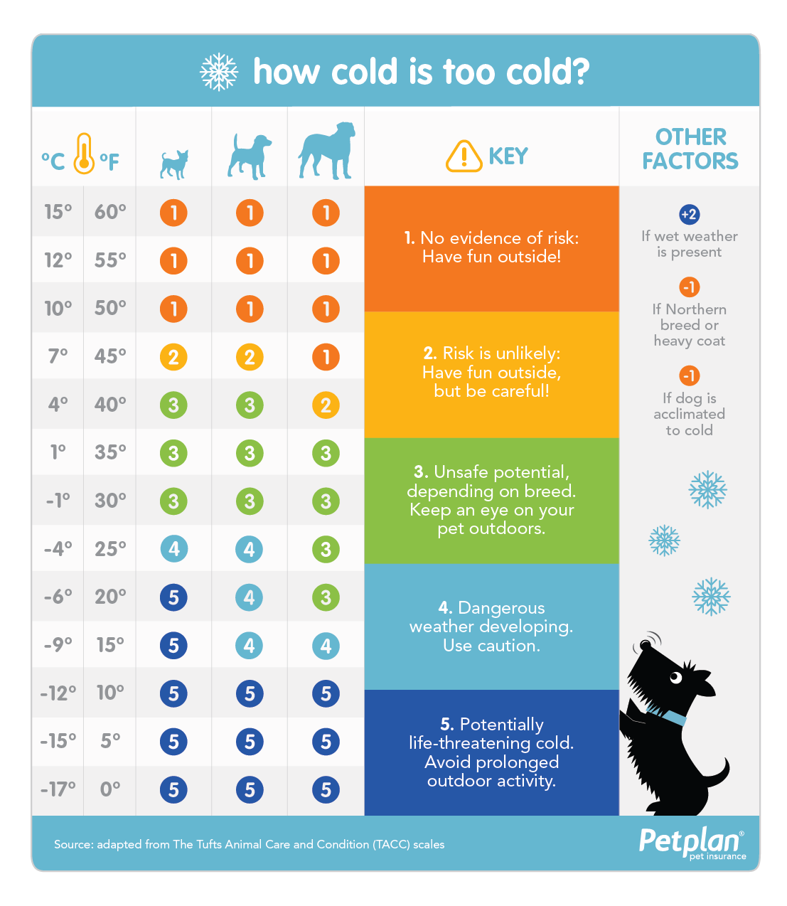 Is it too cold to take your dog for a walk? Winter Dog Walking Tips